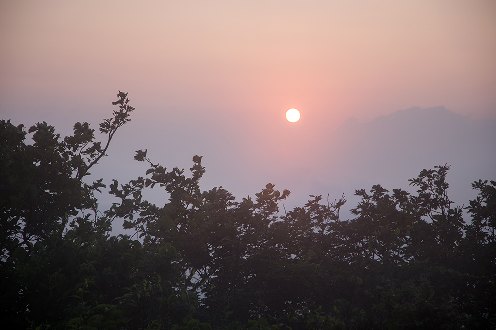 frame