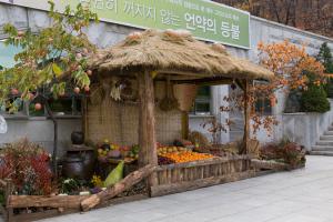  주일 교회 둘러보기