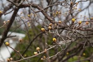  주일 교회 둘러보기