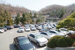  주일(부활절) 교회 둘러보기