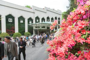  주일 교회 둘러보기