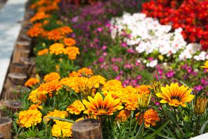  주일 교회 둘러보기