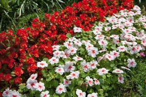  주일 교회 둘러보기