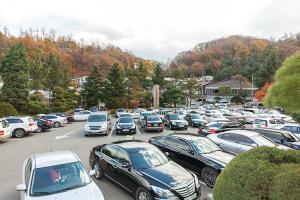  주일 교회둘러보기(추수감사절)