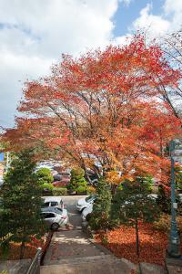  주일 교회둘러보기(추수감사절)