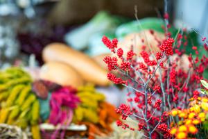  주일 교회둘러보기(추수감사절)