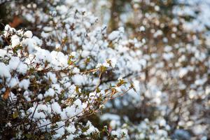  주일 교회 둘러보기