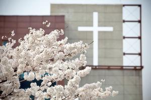  교회 둘러보기 (평강의 봄)