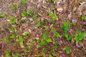  주일 교회 둘러보기