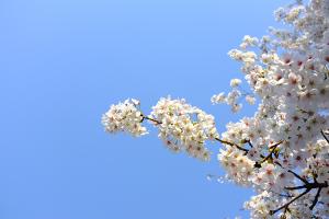  주일 교회 둘러보기