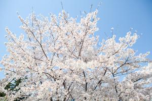  주일 교회 둘러보기