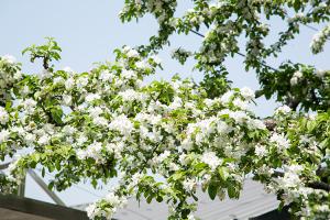  부활주일 교회 둘러보기
