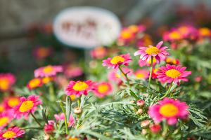  부활주일 교회 둘러보기