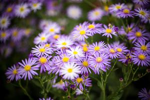  주일 교회 둘러보기