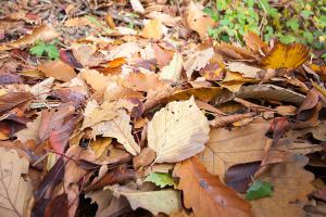  주일 교회 둘러보기