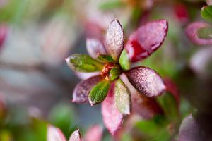  교회 둘러보기 (평강의 가을)