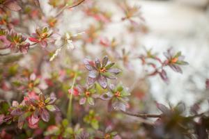  교회 둘러보기 (평강의 가을)