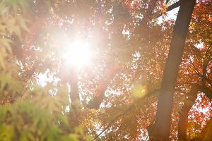  주일 교회 둘러보기(추수감사절)