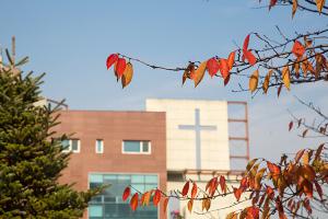  주일 교회 둘러보기(추수감사절)