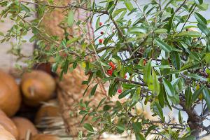  주일 교회 둘러보기(추수감사절)