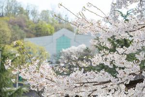  교회 둘러보기(평강의 봄)