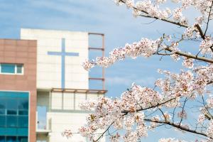  교회 둘러보기(평강의 봄)