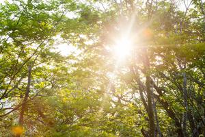  청년2부(그루터기선교회) 지리산 기도회