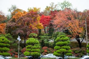  주일 교회 둘러보기