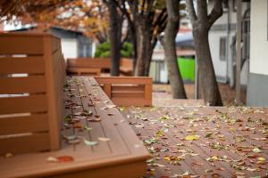  교회 둘러보기 (평강의 가을)