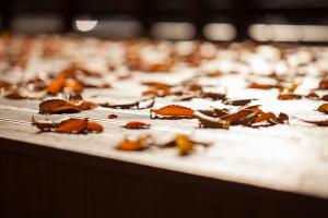  교회 둘러보기 (평강의 가을)