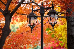  교회 둘러보기 (평강의 가을)