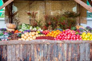  주일 교회 둘러보기