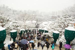  주일 교회 둘러보기