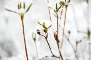  주일 교회 둘러보기