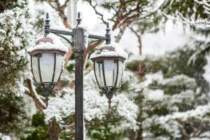  주일 교회 둘러보기