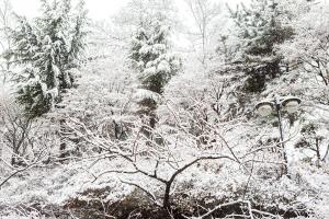  주일 교회 둘러보기