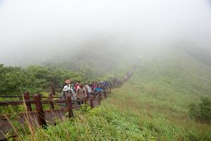  장안산 구국기도회