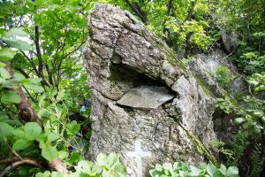  장안산 구국기도회