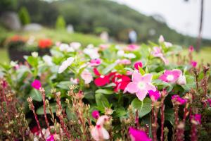  하계대성회 둘째날 오후(구속사강의4, 둘러보기)