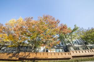  교회 둘러보기 (평강의 가을)