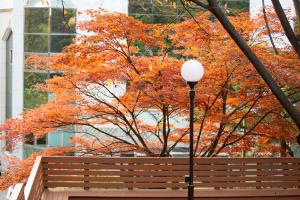  교회 둘러보기 (평강의 가을)