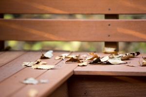  교회 둘러보기 (평강의 가을)