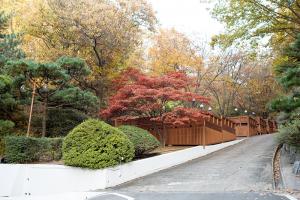  교회 둘러보기 (평강의 가을)