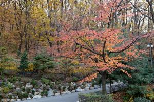  교회 둘러보기 (평강의 가을)