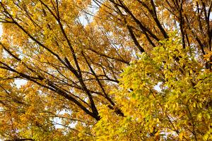  교회 둘러보기 (평강의 가을)