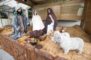  평강가족 성탄축제