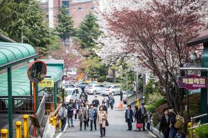  교회 둘러보기(평강의 봄)
