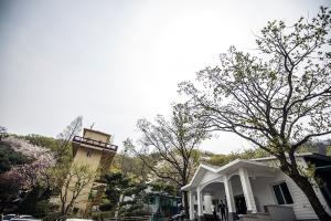  교회 둘러보기(평강의 봄)