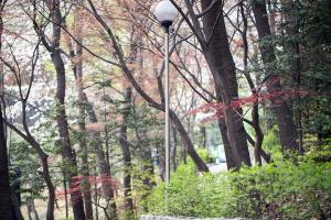  교회 둘러보기(평강의 봄)