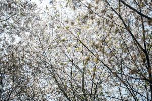  교회 둘러보기(평강의 봄)